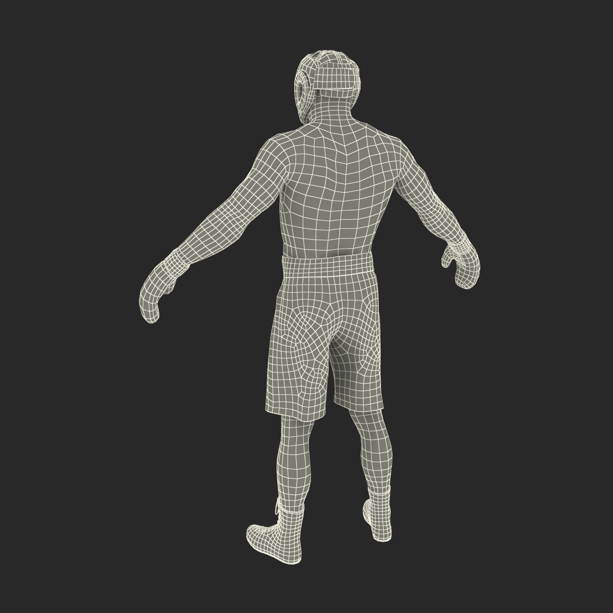 African American Boxer 3D