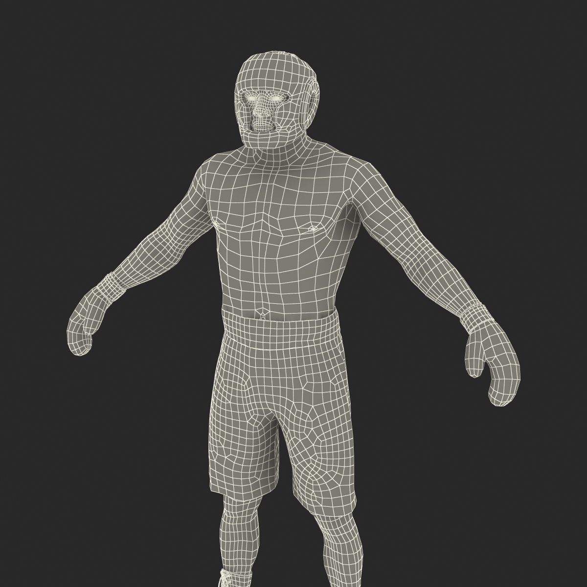 African American Boxer 3D