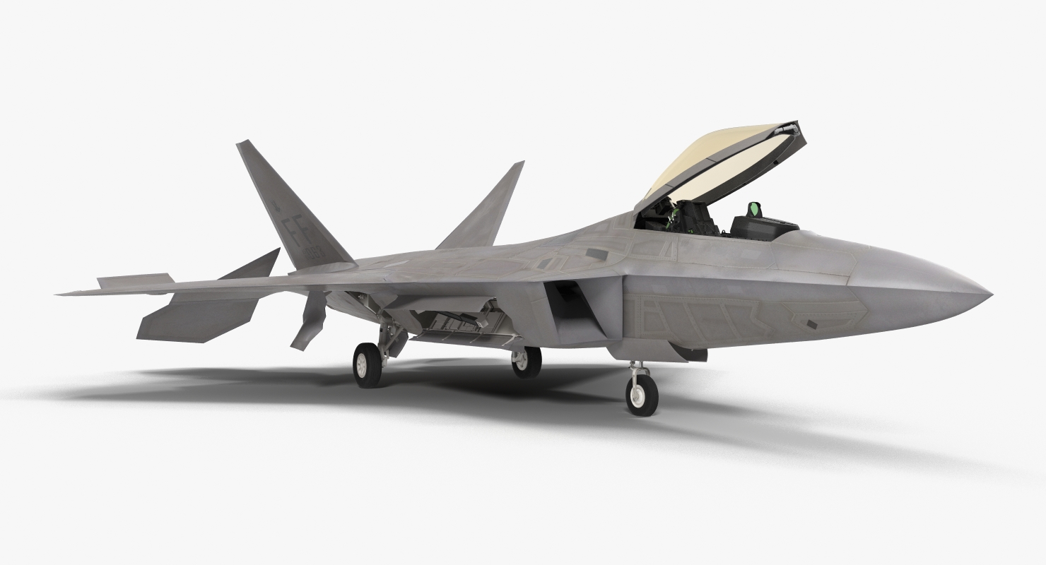 3D F 22 Raptor Rigged model