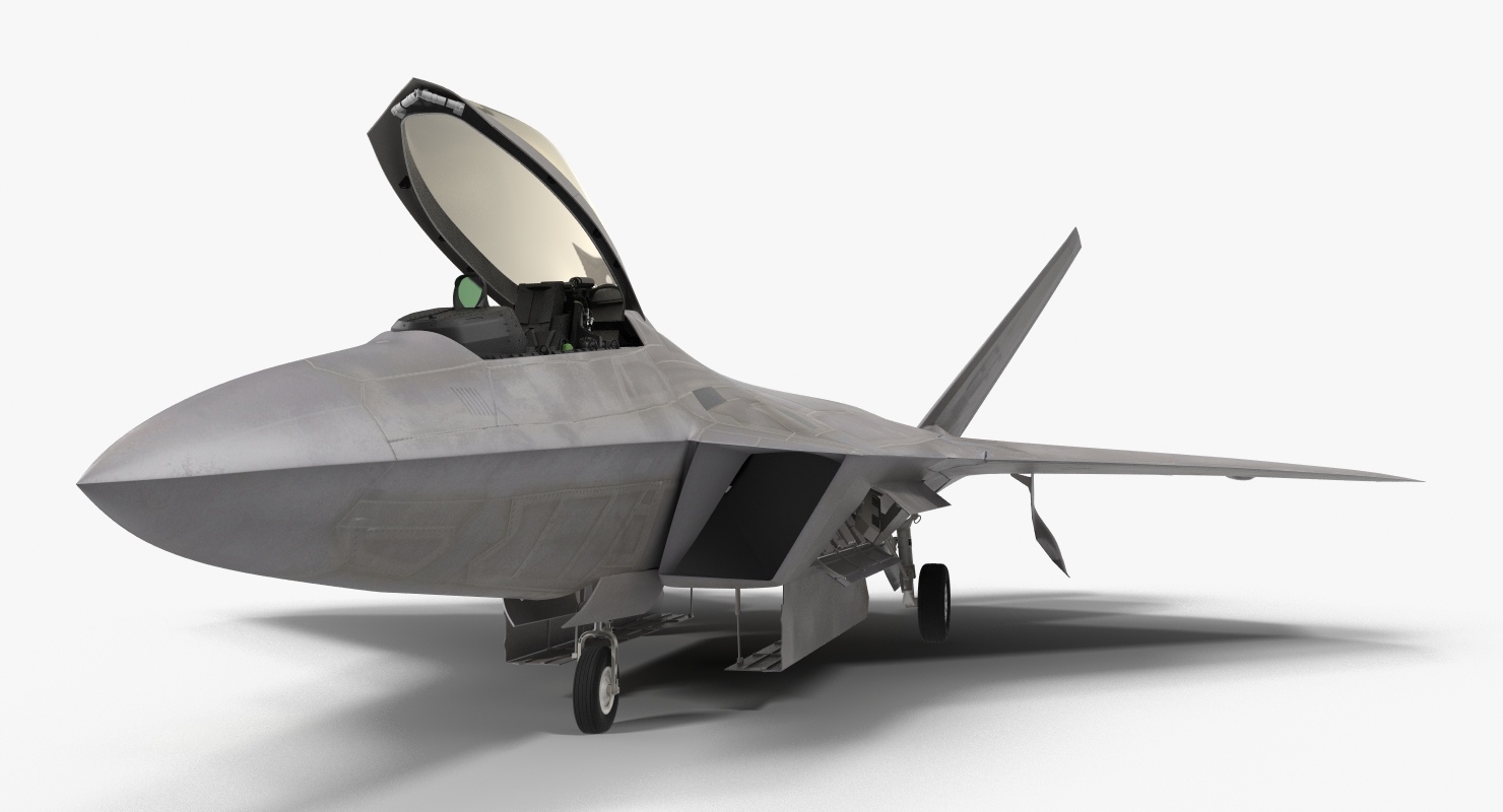 3D F 22 Raptor Rigged model