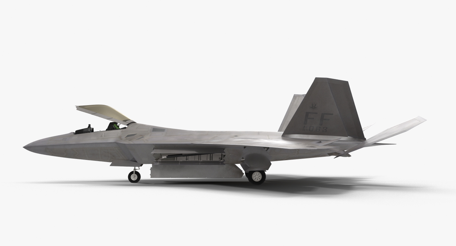 3D F 22 Raptor Rigged model