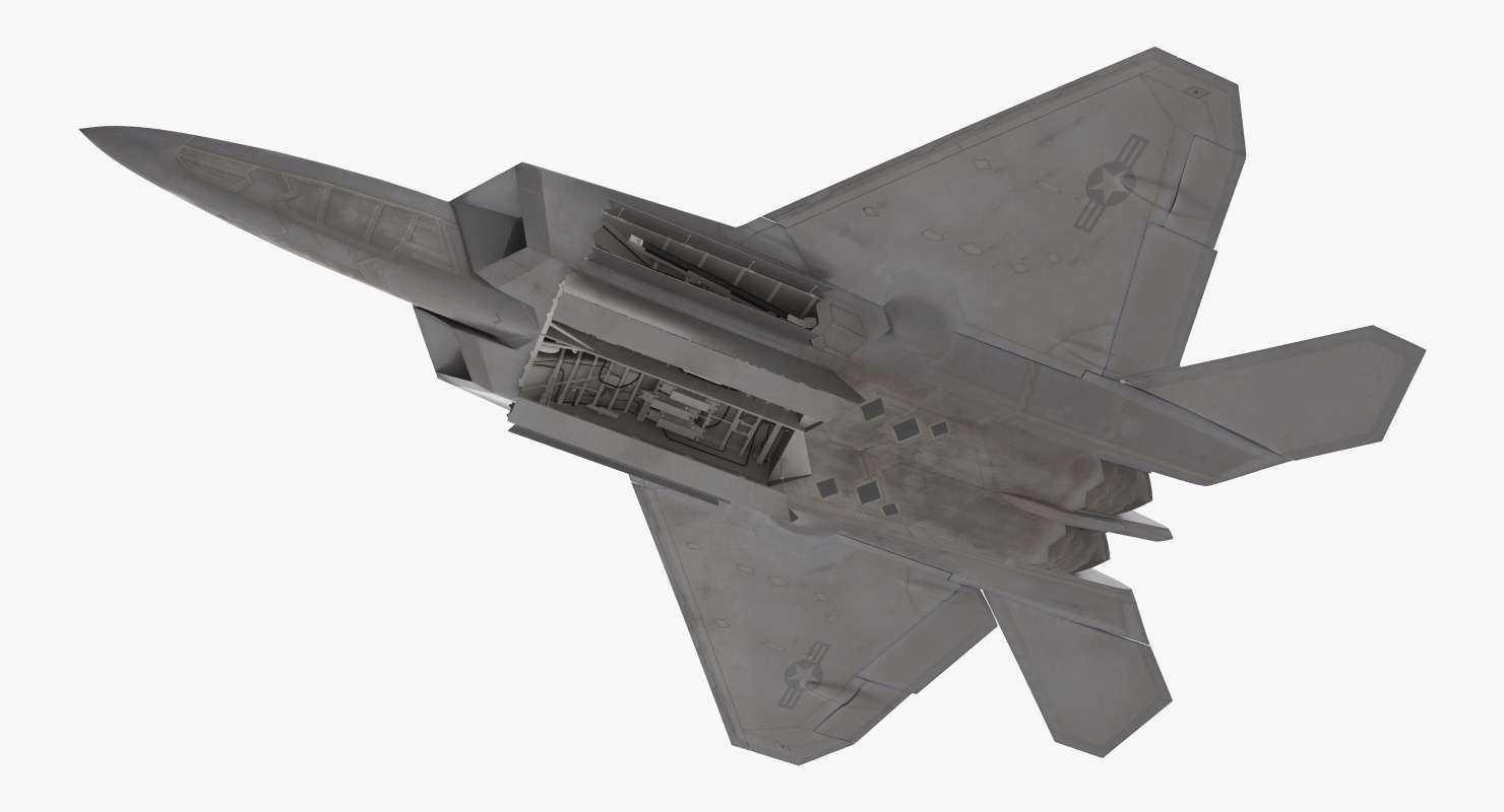 3D F 22 Raptor Rigged model