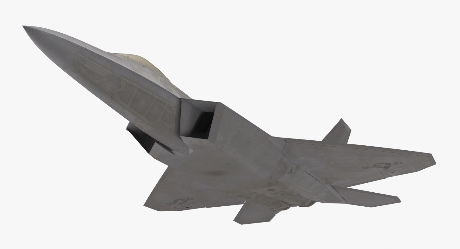 3D F 22 Raptor Rigged model