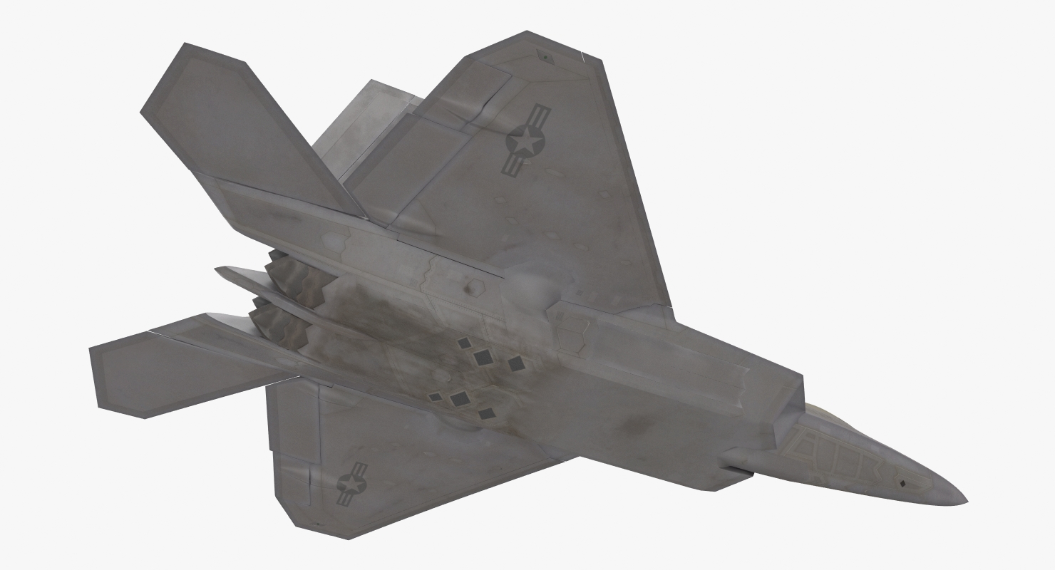 3D F 22 Raptor Rigged model