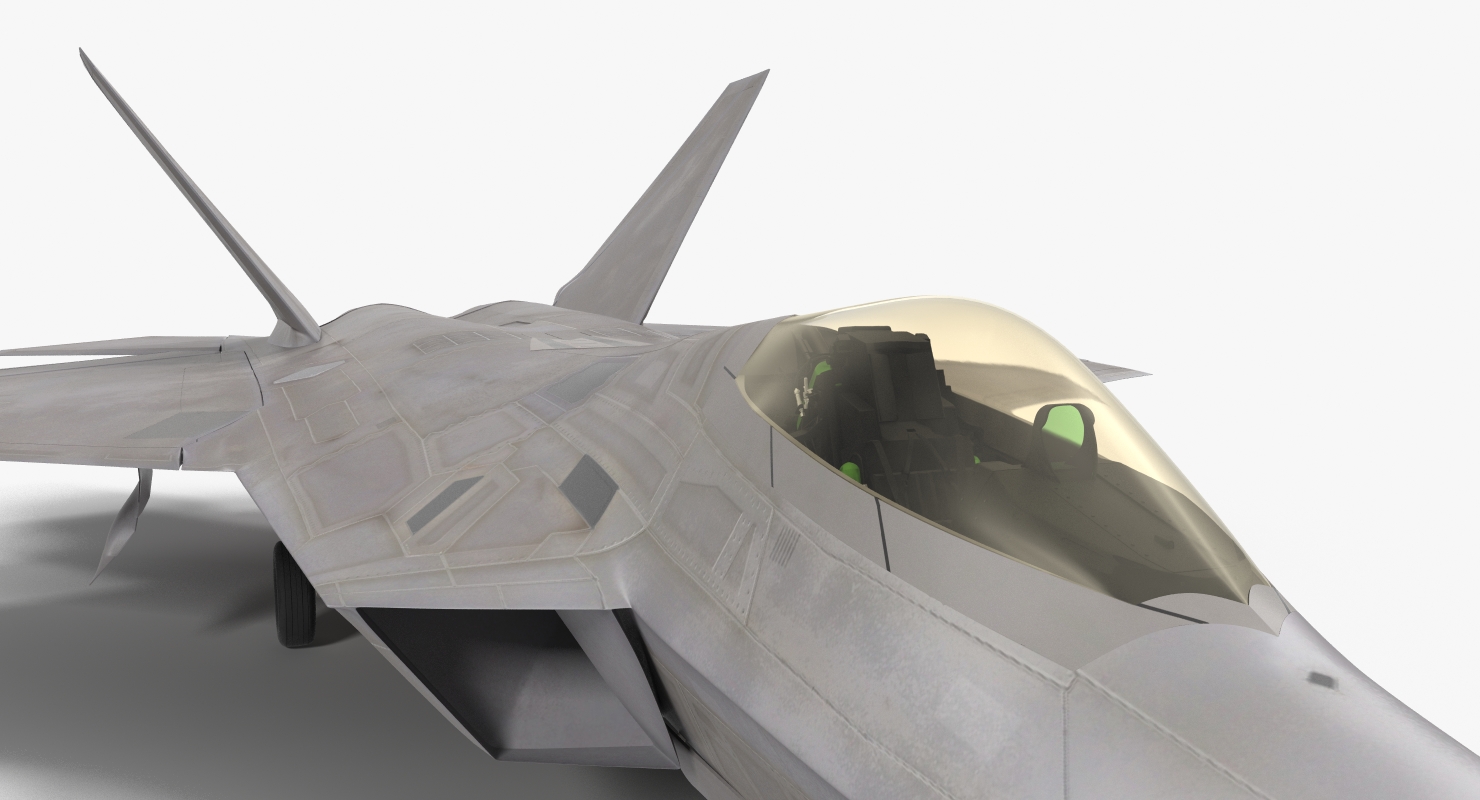 3D F 22 Raptor Rigged model