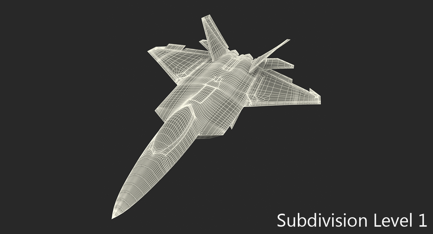 3D F 22 Raptor Rigged model