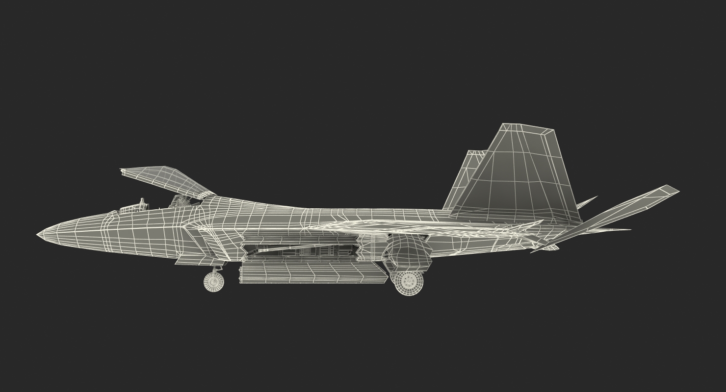 3D F 22 Raptor Rigged model