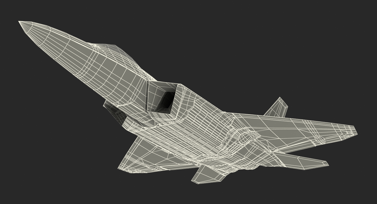 3D F 22 Raptor Rigged model