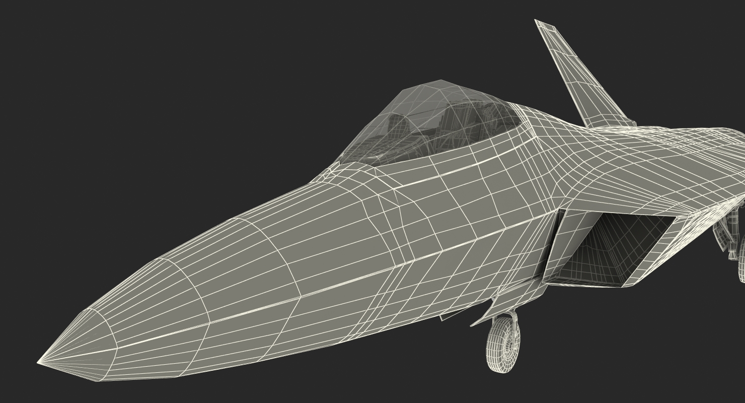 3D F 22 Raptor Rigged model