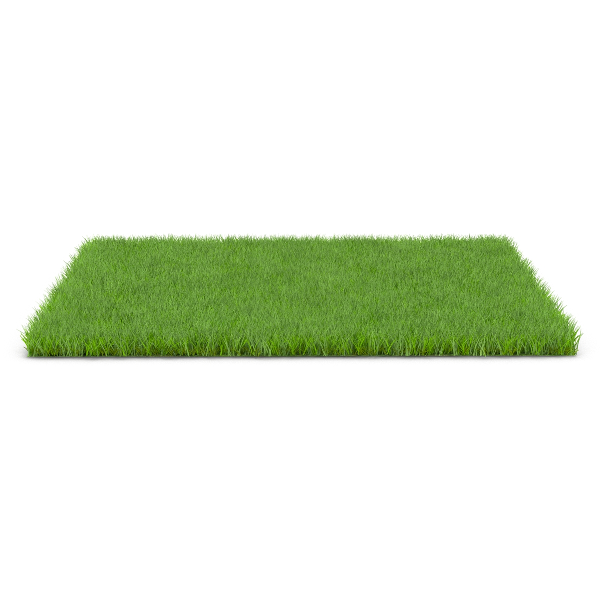 Fescue Grass 3D