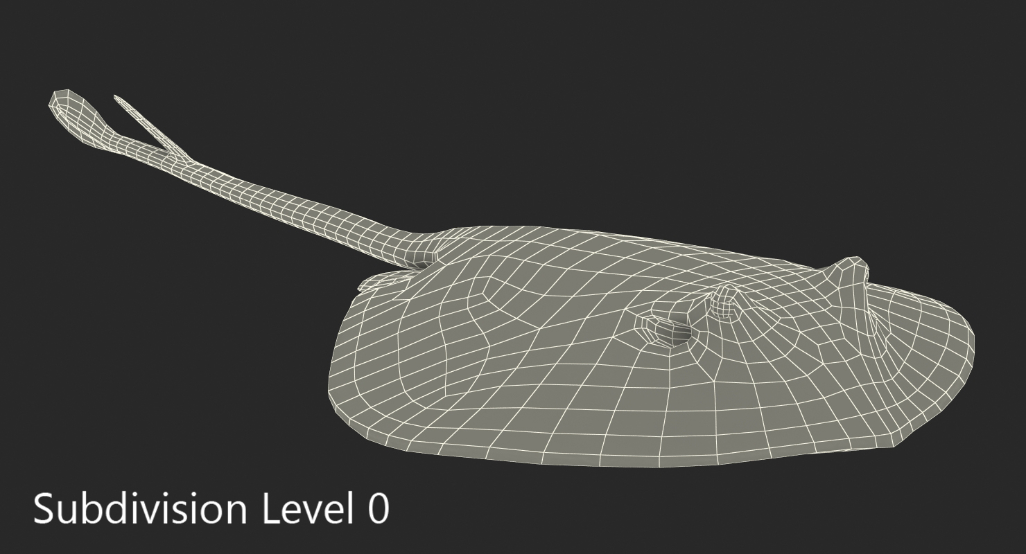 3D Spotted Stingray