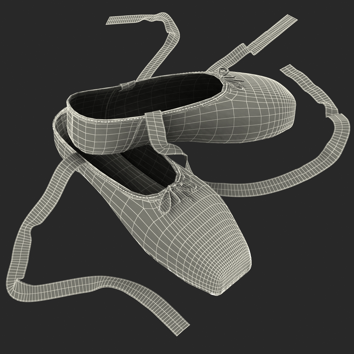 Ballet Shoes 3D