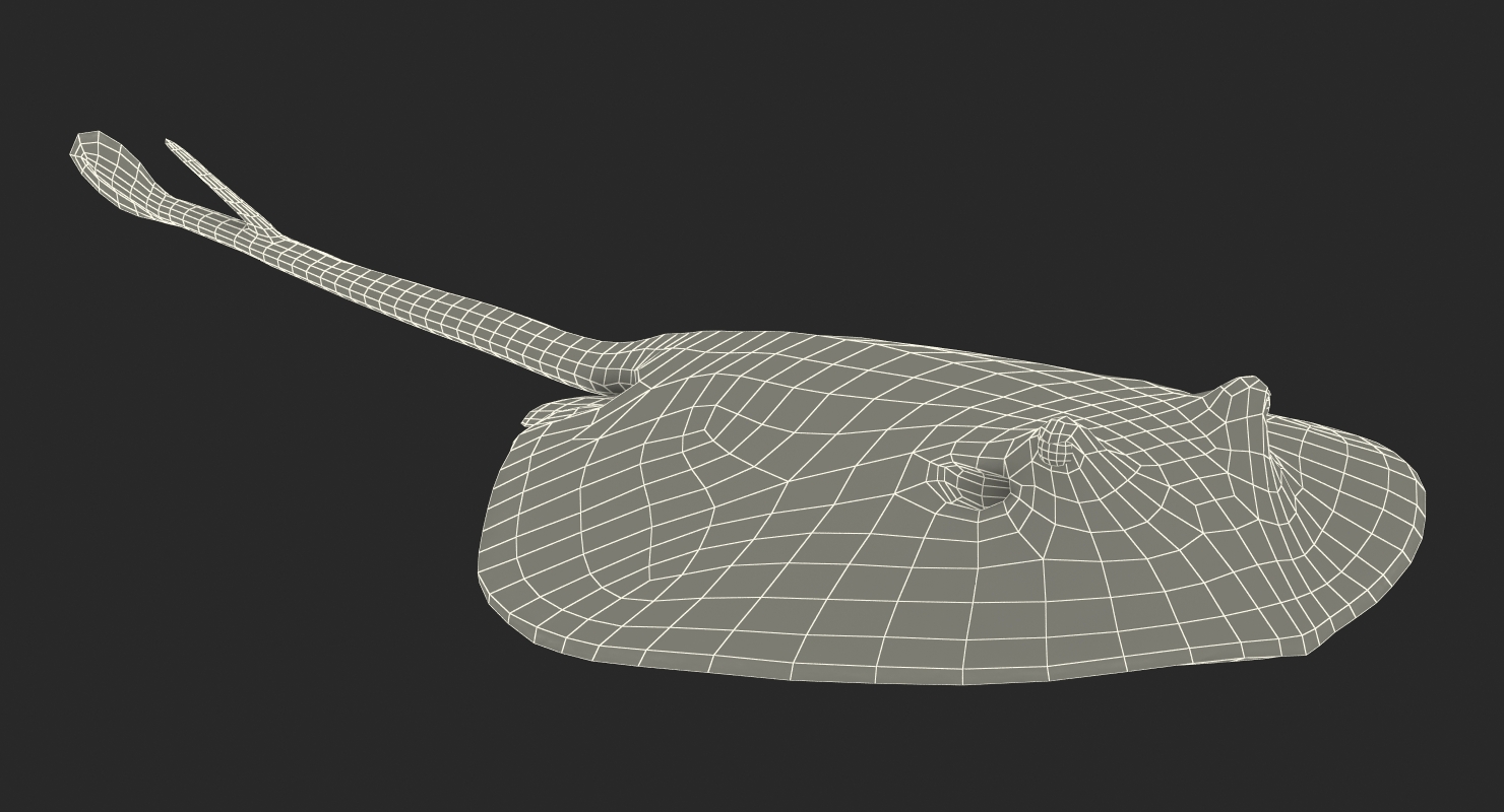 3D model Stingray Rigged