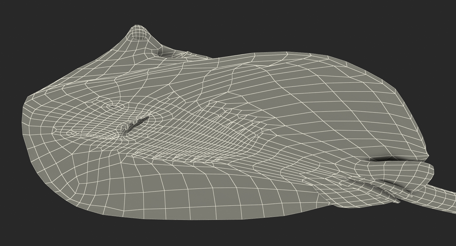 3D model Stingray Rigged