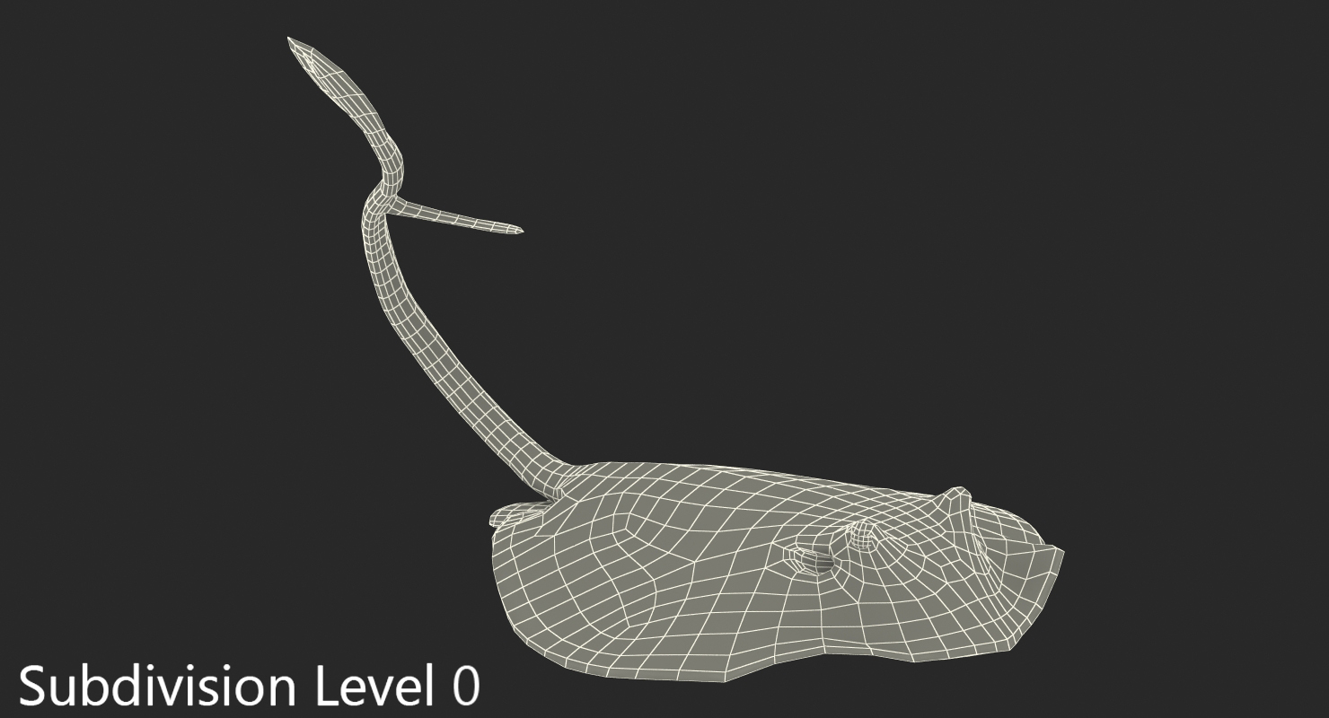 3D model Stingray Pose 2