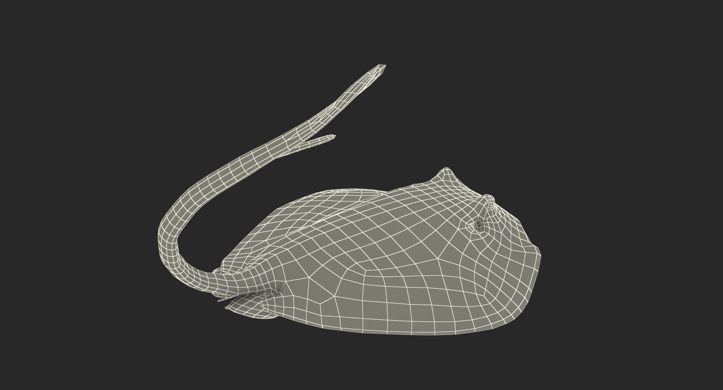 3D model Stingray Pose 2