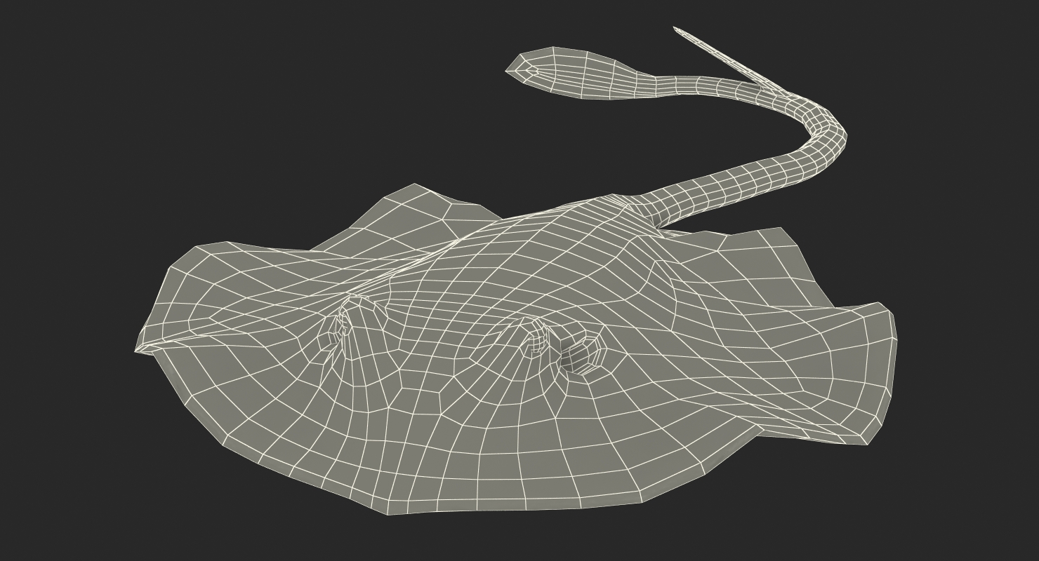 3D River Stingray Pose 3