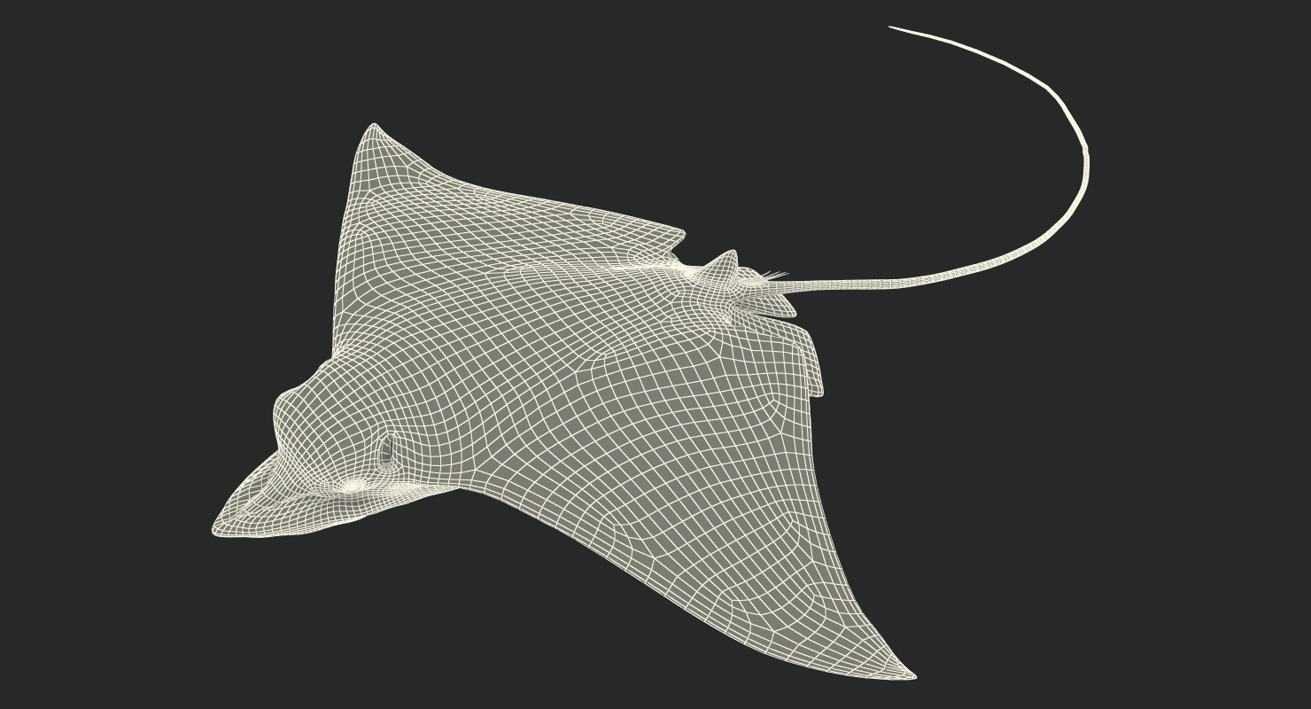 3D Eagle Ray Pose 3