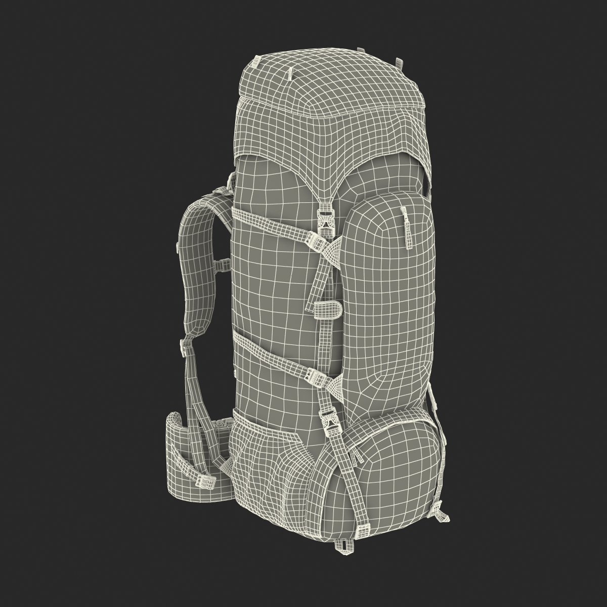 3D Large Camping Backpack Green model