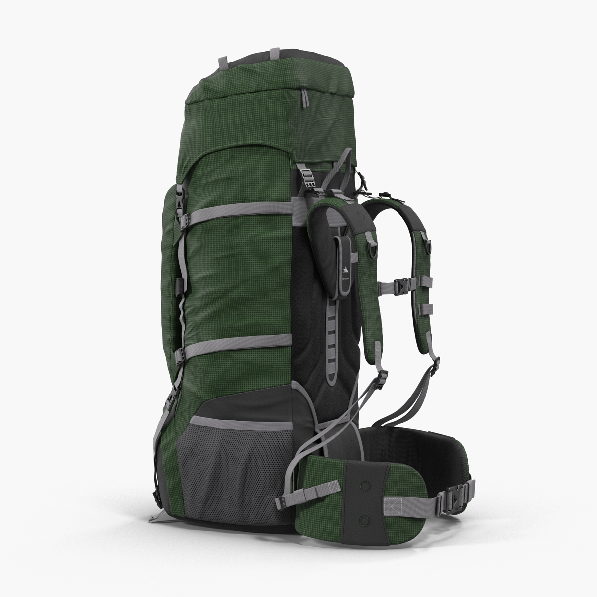 3D Large Camping Backpack Green model