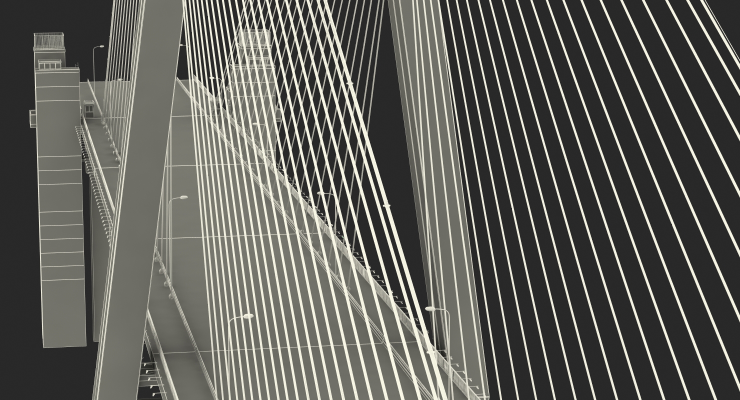 Nanpu Bridge 3D