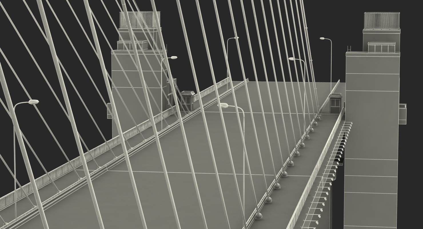 Nanpu Bridge 3D