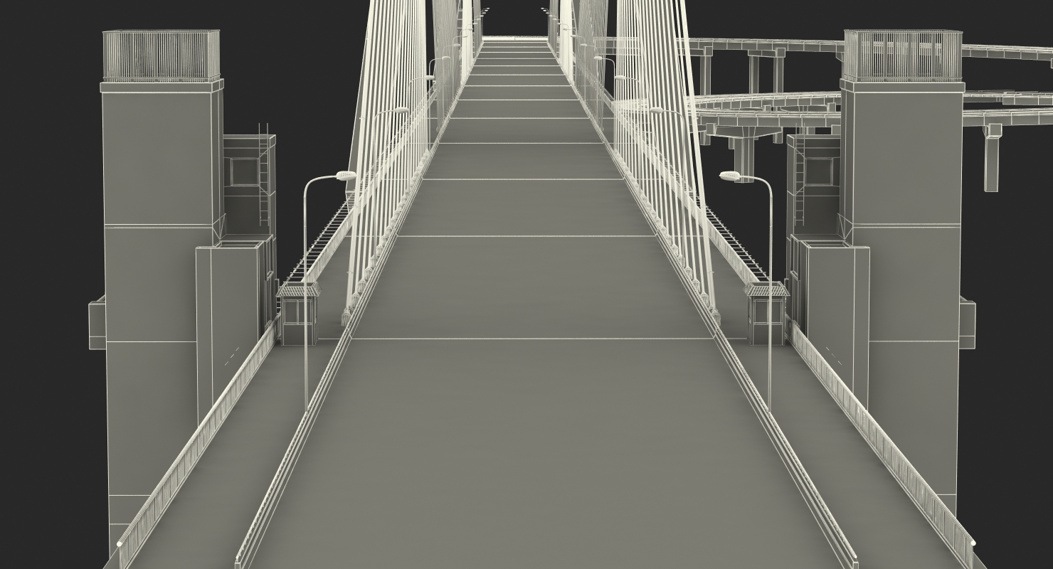 Nanpu Bridge 3D