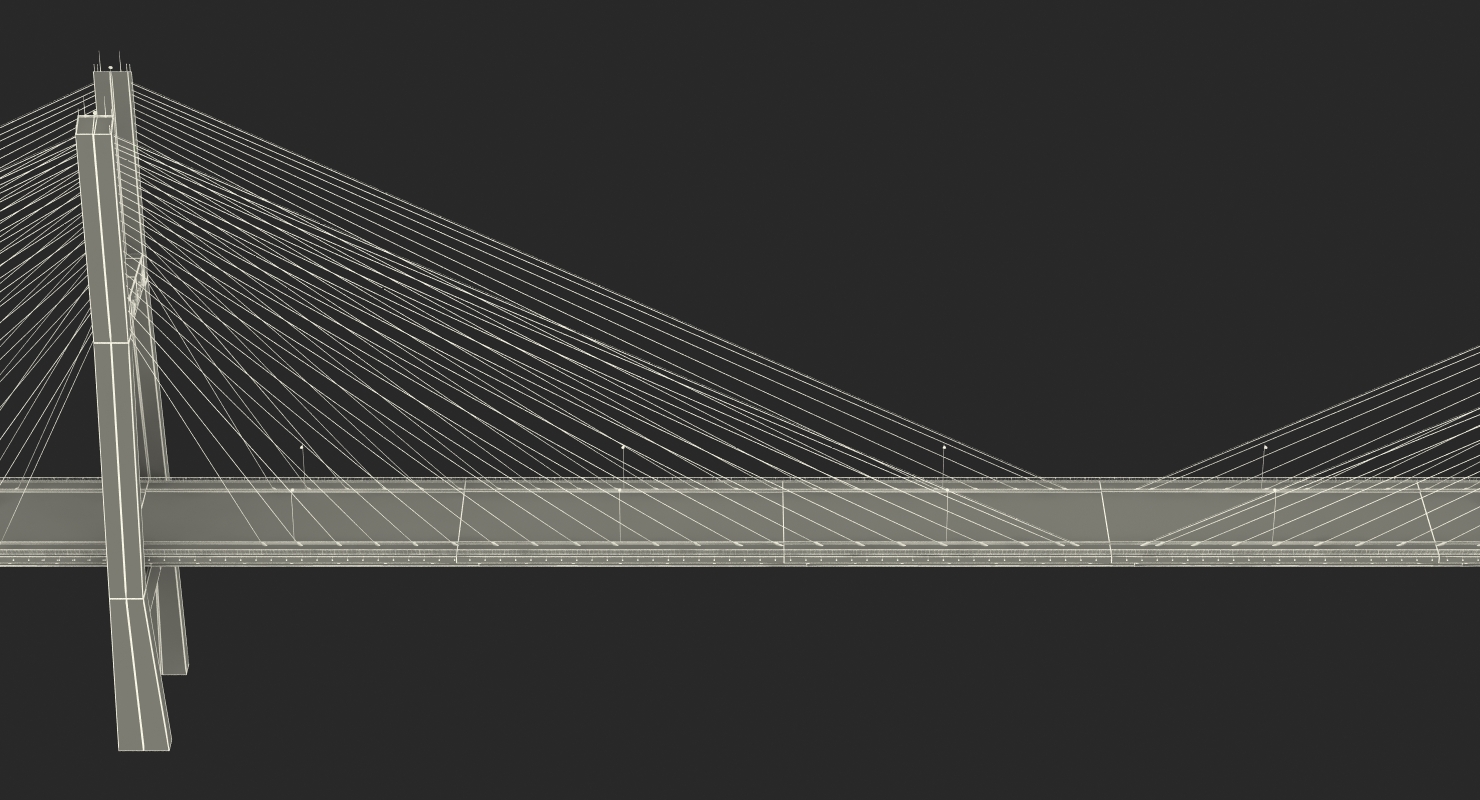 Nanpu Bridge 3D