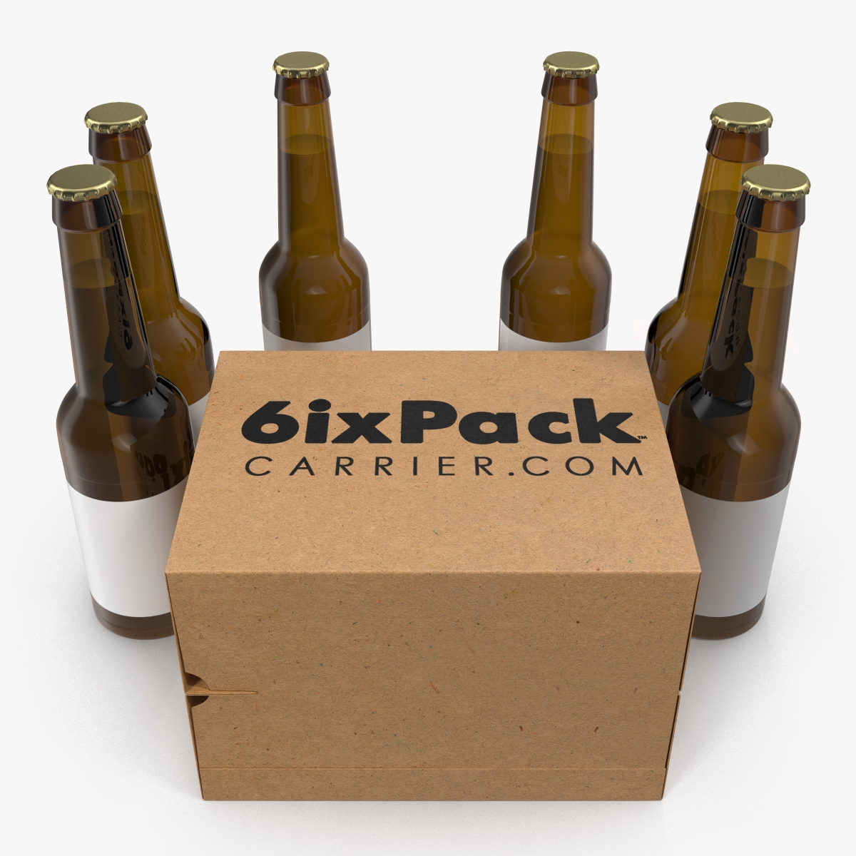 3D 6 Pack Bottle Holder with Bottles model