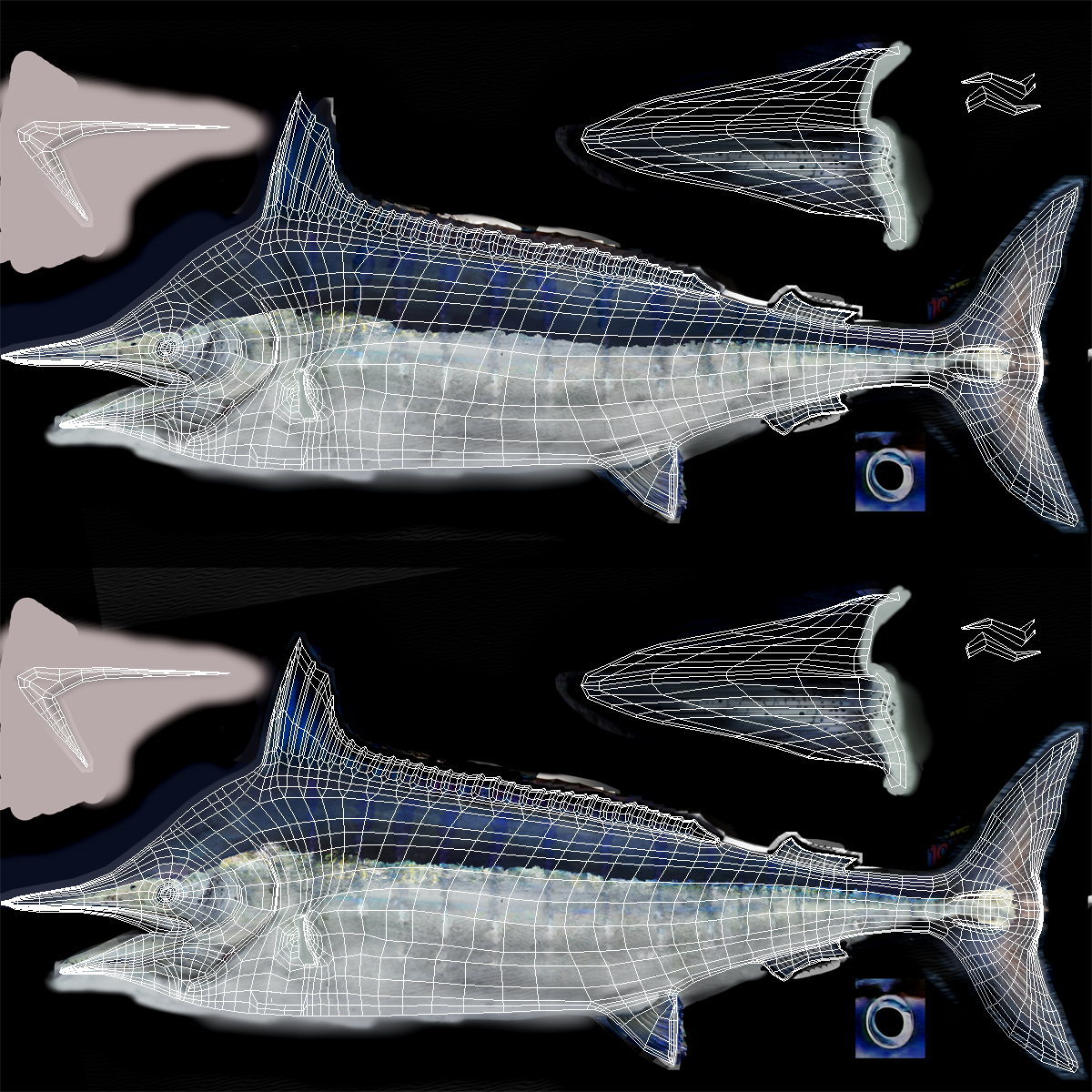 3D Blue Marlin Rigged model