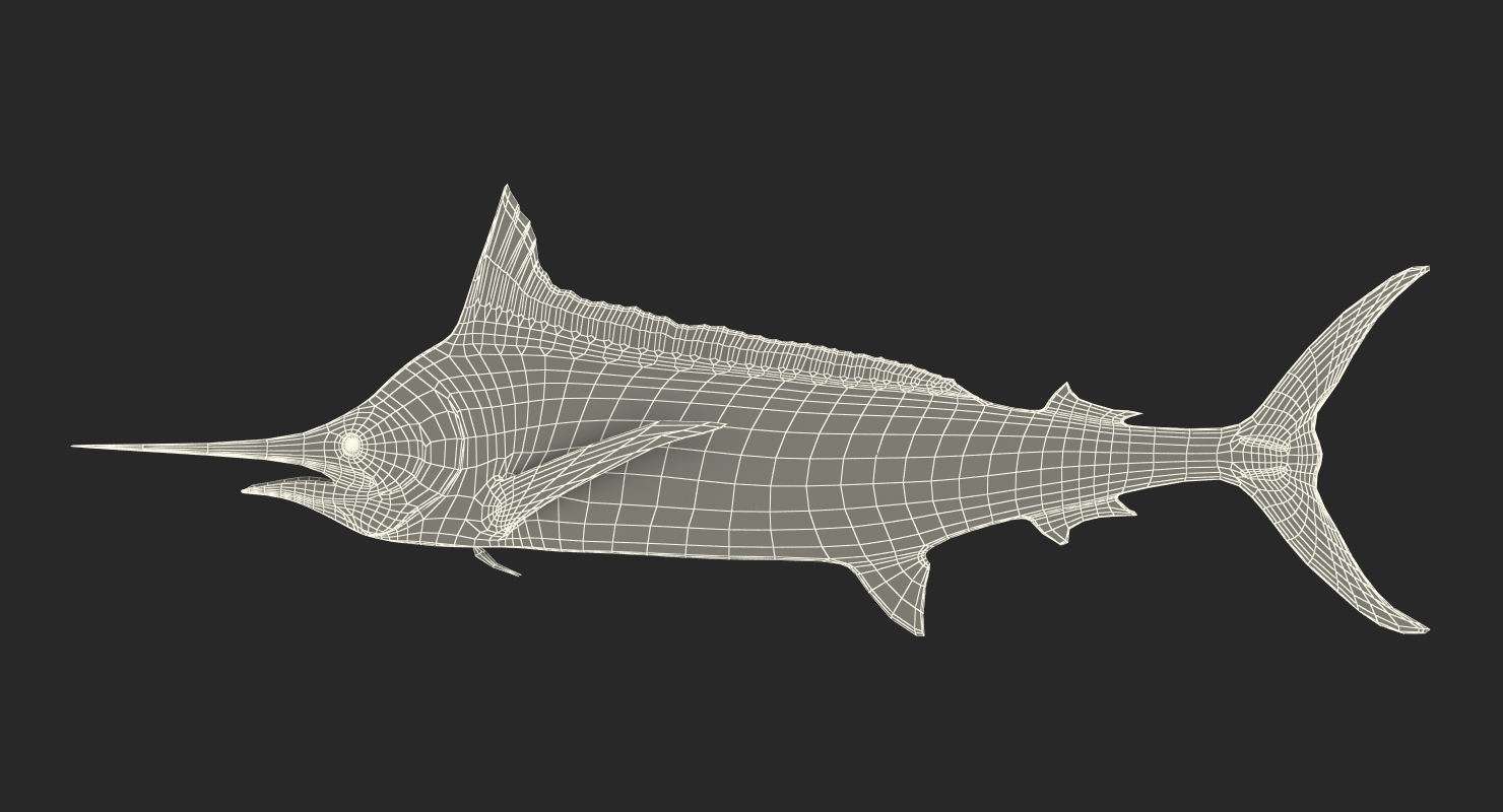 3D Blue Marlin Rigged model