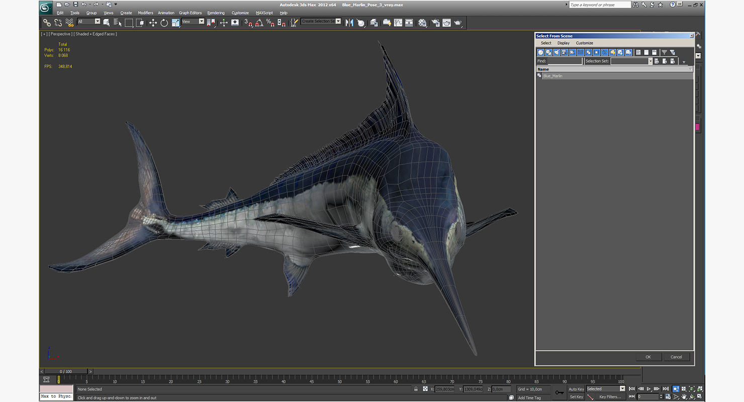 3D Blue Marlin Pose 3 model