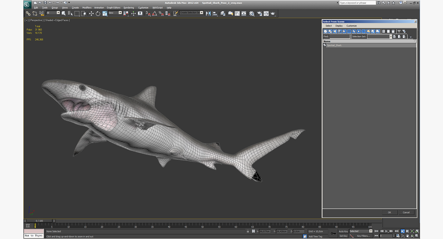 3D Spottail Shark Pose 2