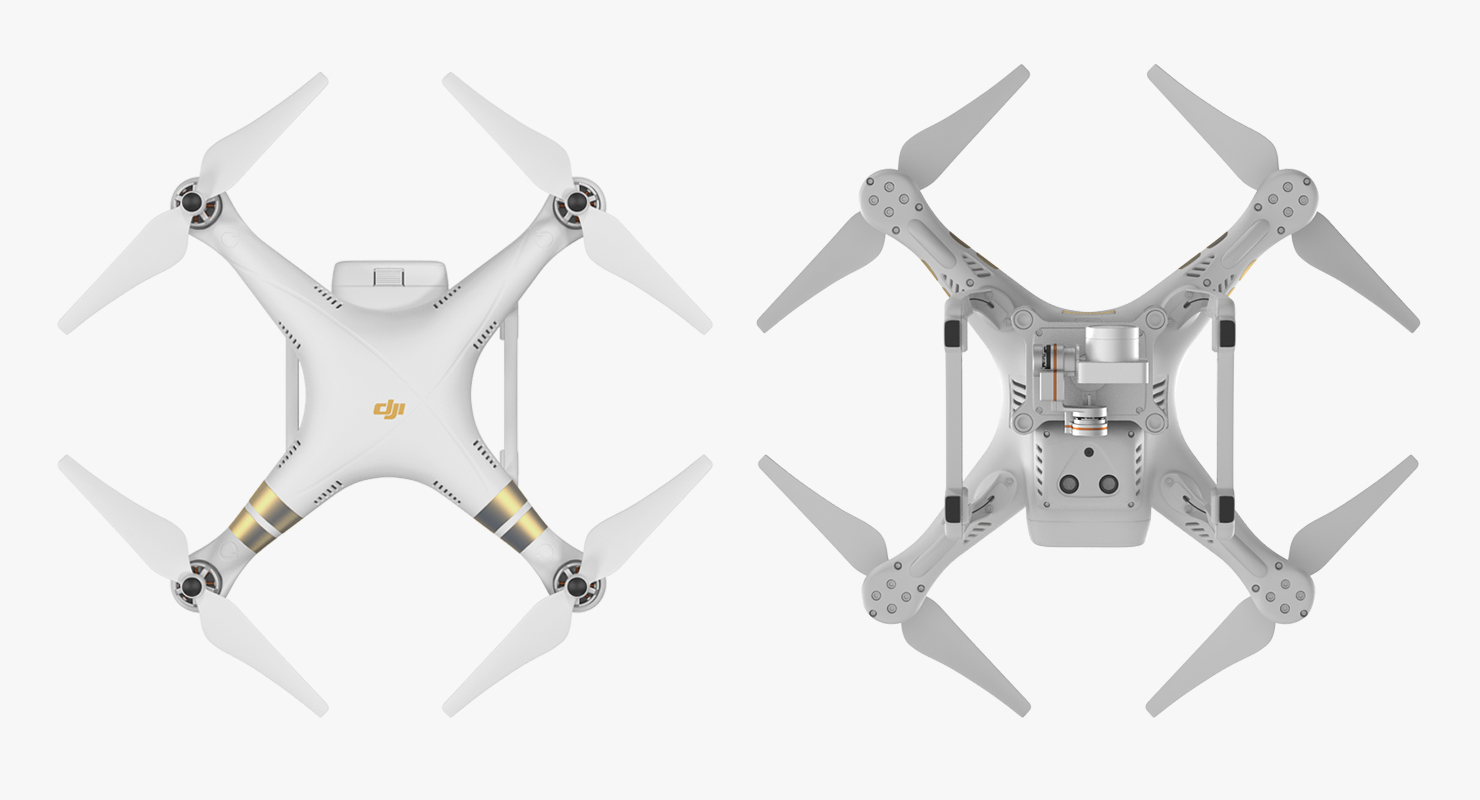 3D DJI Phantom 3 Professional Quadcopter Rigged 2