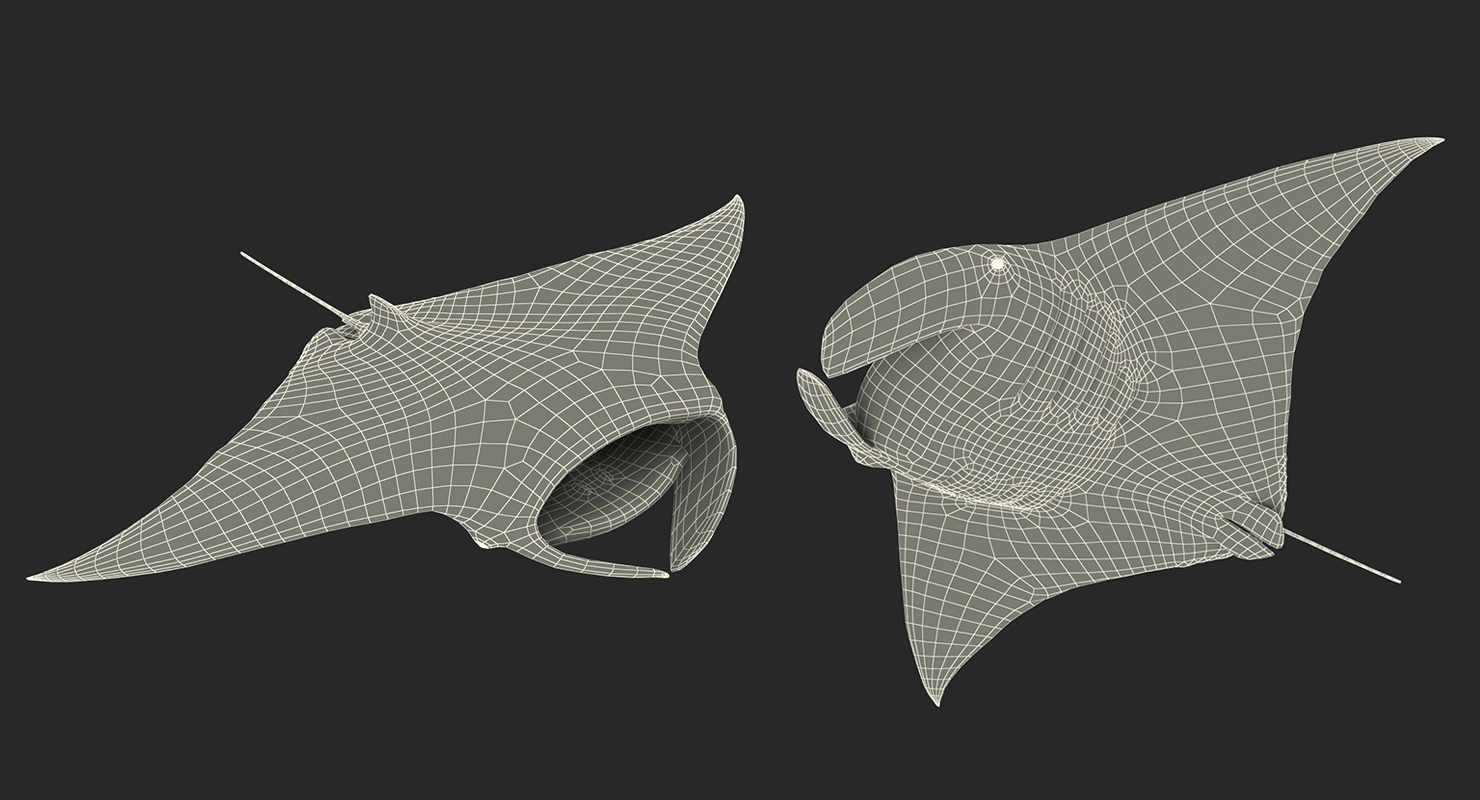 3D Manta Ray Rigged