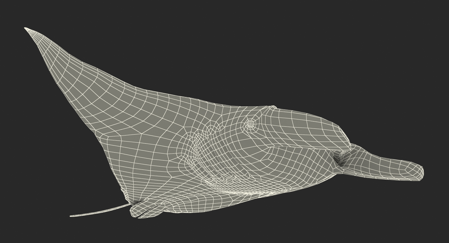 3D Manta Ray Rigged