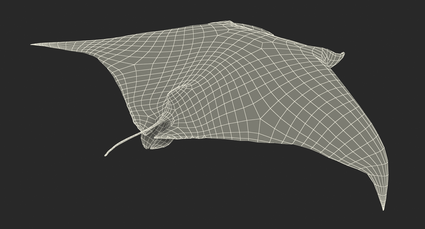 3D Manta Ray Pose 3