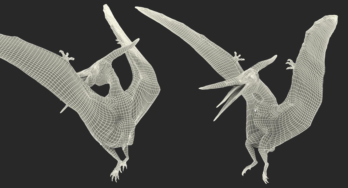 Pteranodon Flying Carnivorous Reptile Landing Pose with Fur 3D model