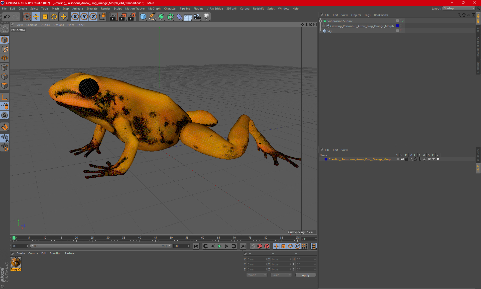 Crawling Poisonous Arrow Frog Orange Morph 3D