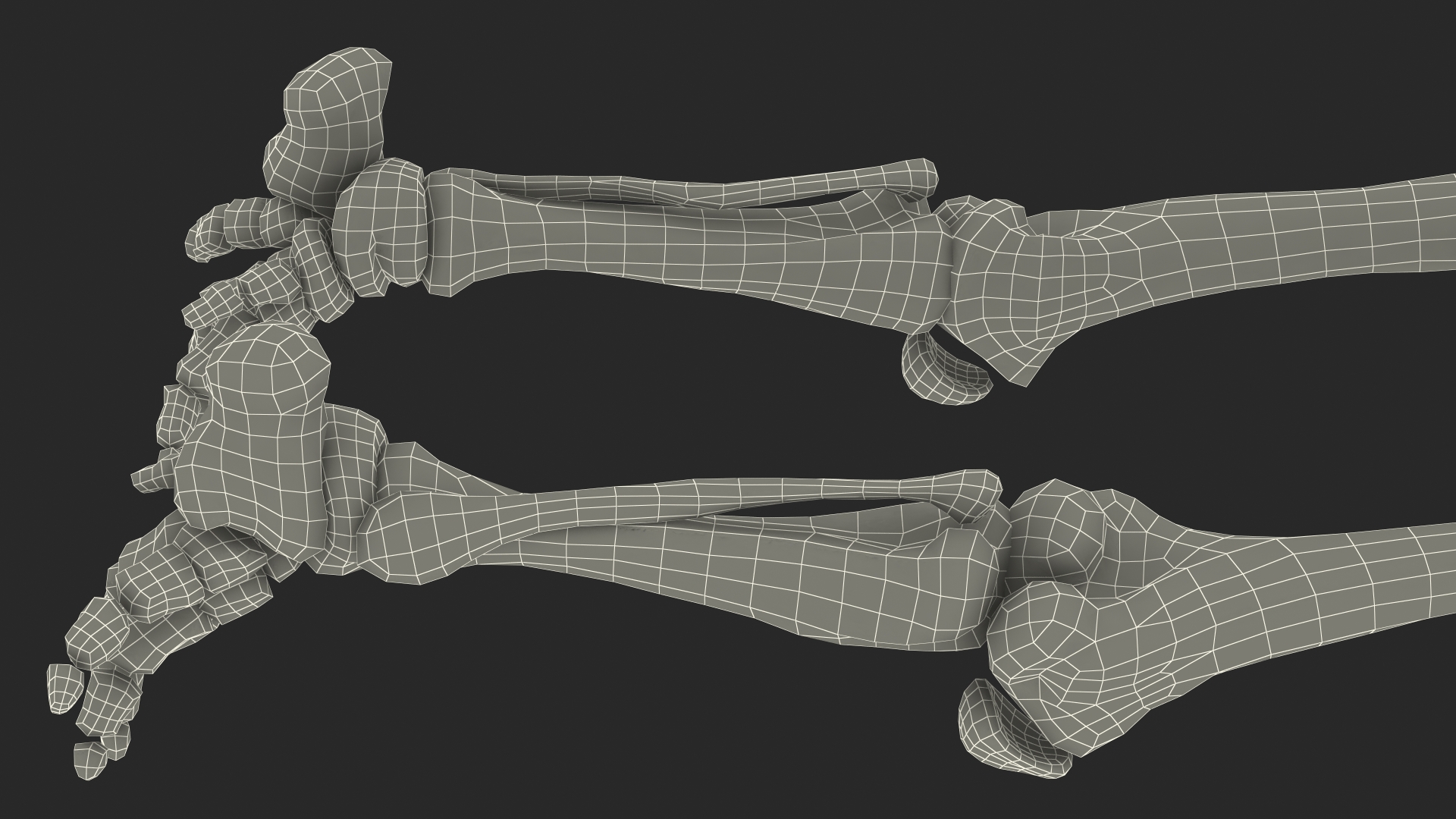 3D Mammoth Skeleton Foot Old Bones