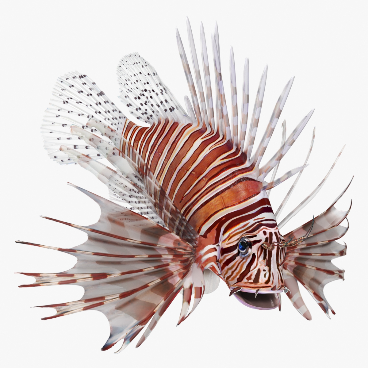 3D Lionfish Marine Creature Rigged