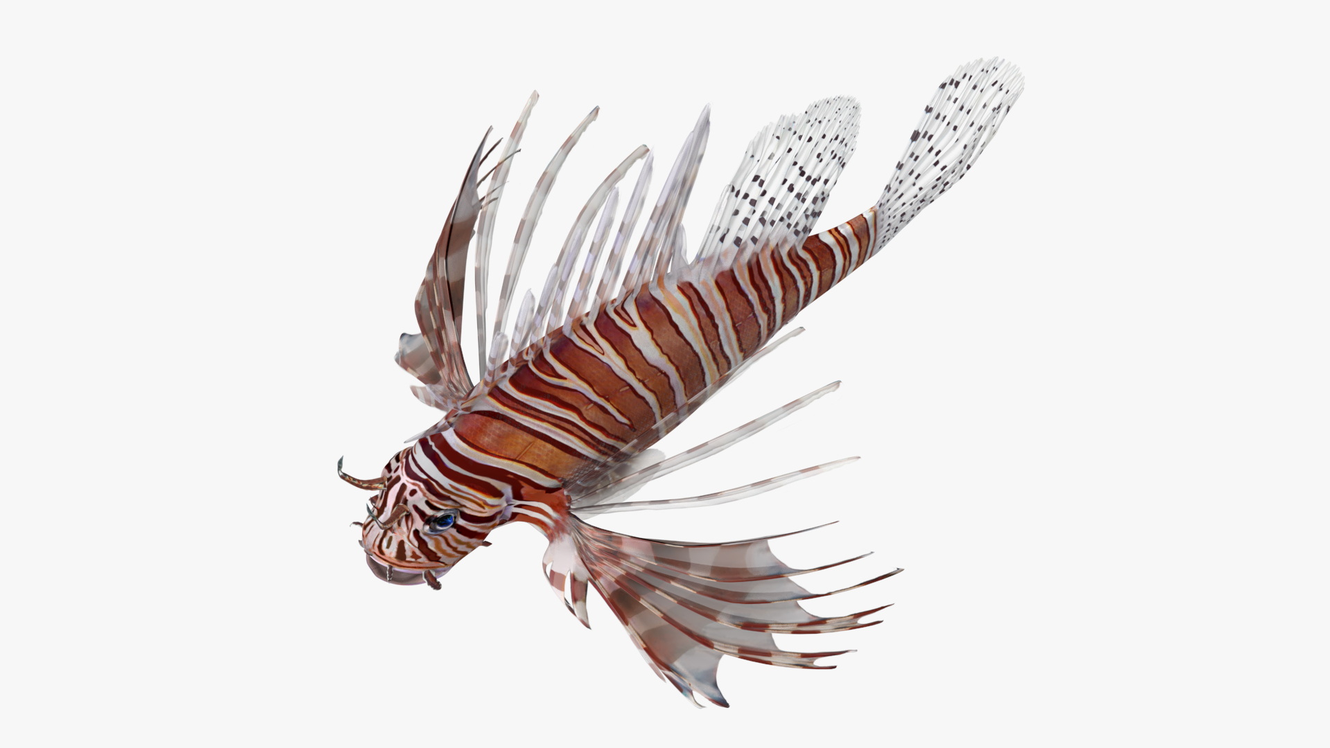 3D Lionfish Marine Creature Rigged