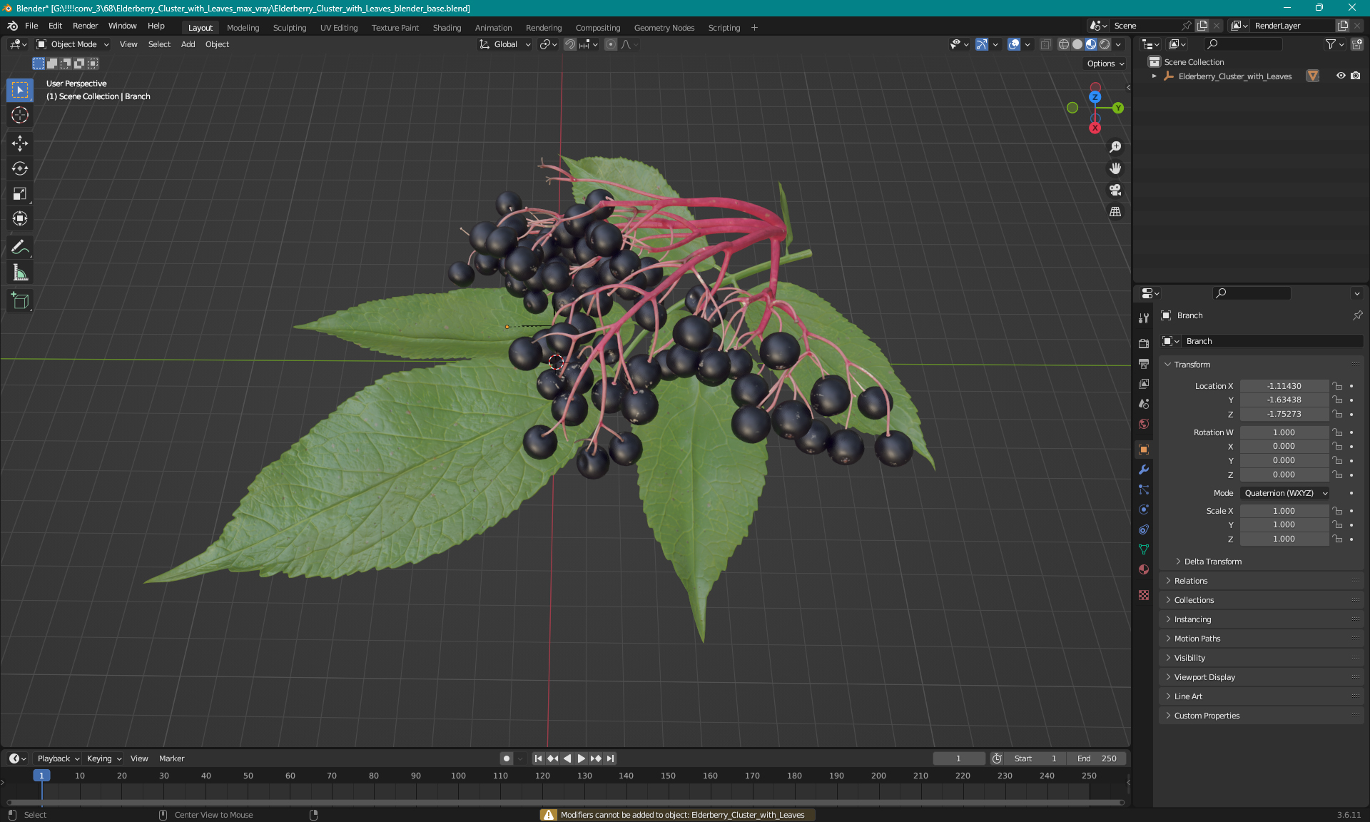 3D model Elderberry Cluster with Leaves