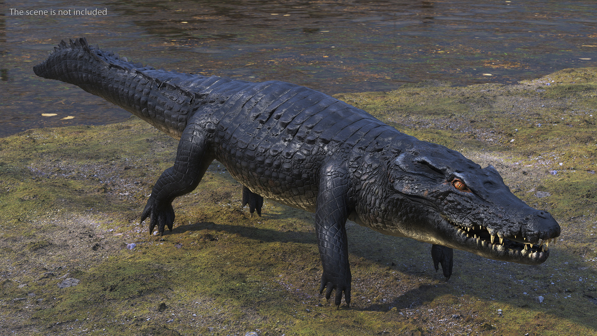 Black Caiman 3D