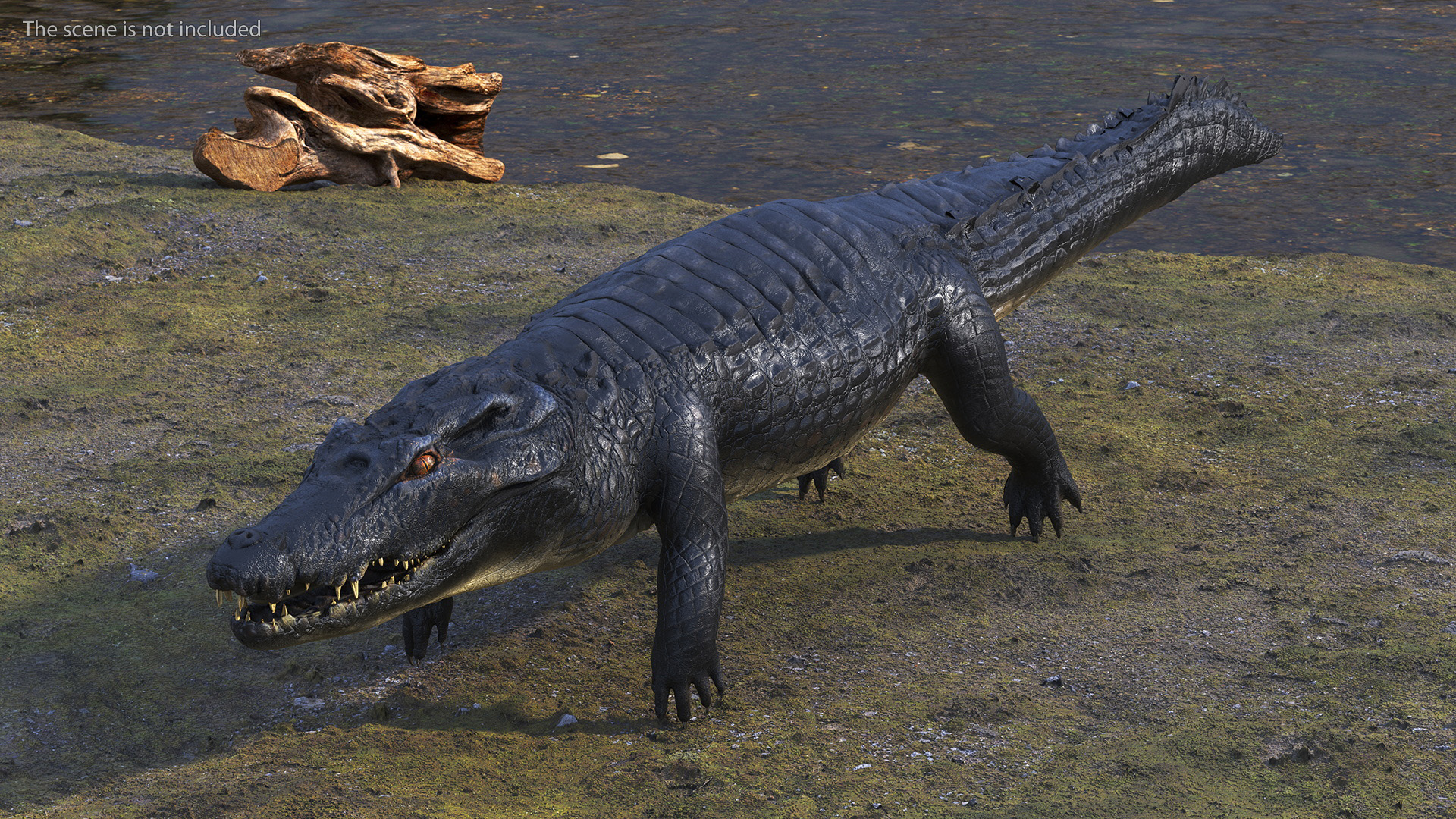 Black Caiman 3D