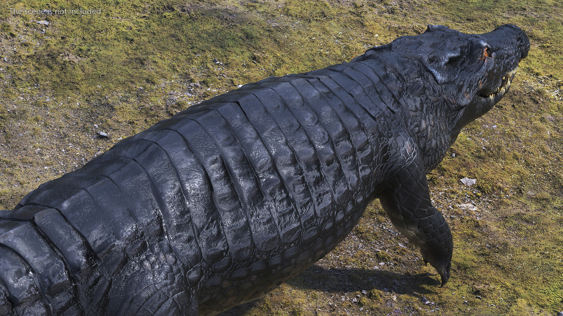 Black Caiman 3D