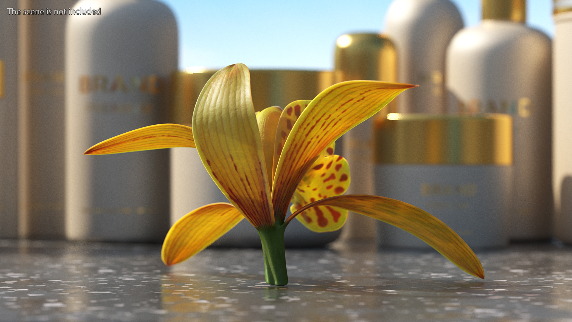 3D model Cymbidium Orchid Flower Yellow