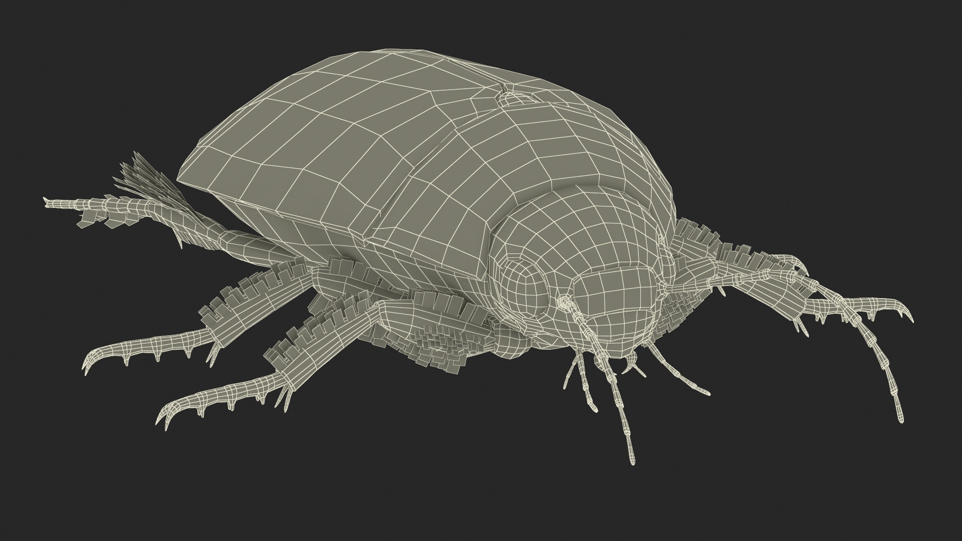 3D Water Beetle Beige Realistic model