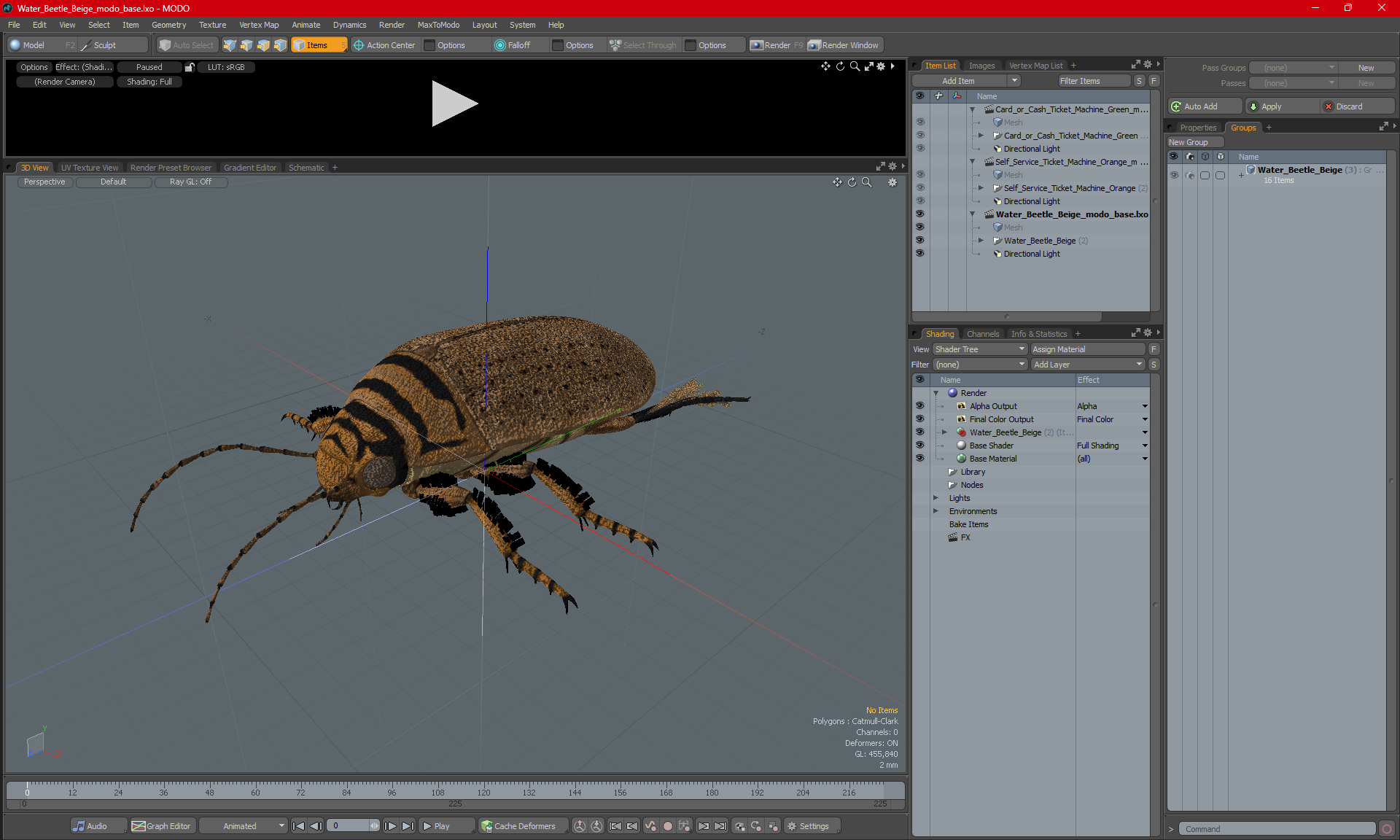 3D Water Beetle Beige Realistic model