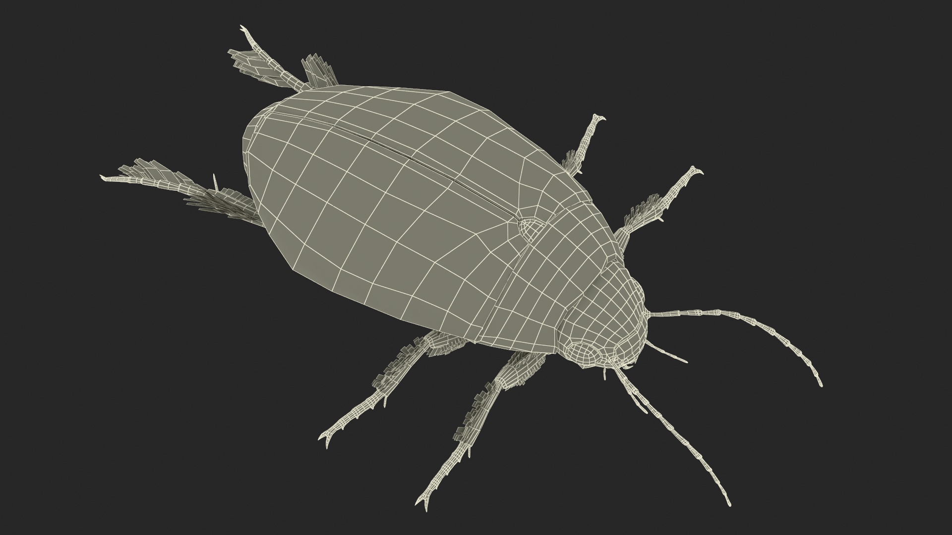 3D Water Beetle Beige Realistic model